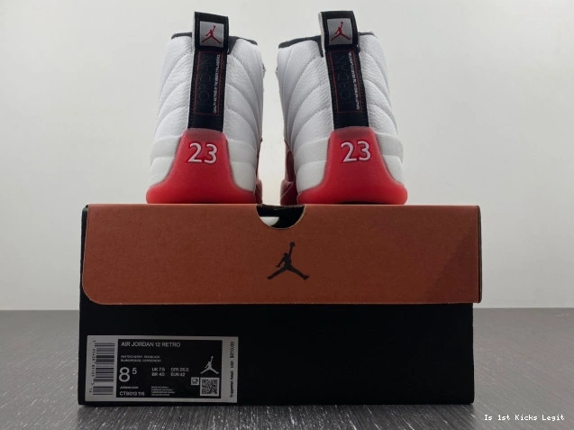 12 Retro Air Cherry 130690-110 Jordan 0725